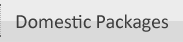 Domestic Packages