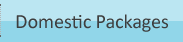 Domestic Packages